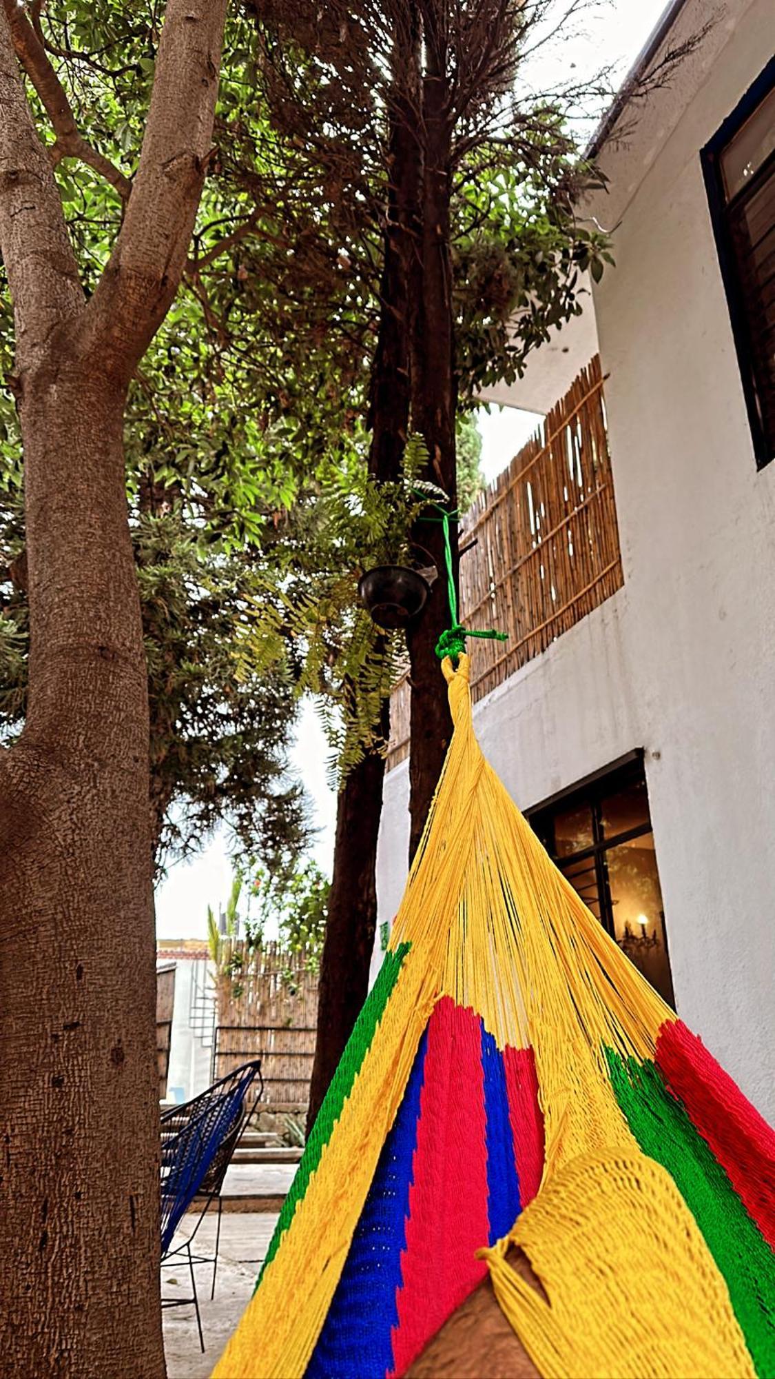 Xitla Hostel Oaxaca Exteriör bild